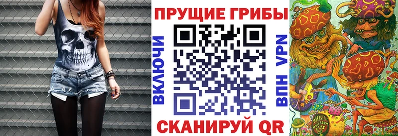 Галлюциногенные грибы GOLDEN TEACHER  Любим 
